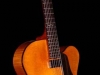 The Avalon Archtop Guitar (Foster Jazz Guitars)