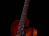 The Basin Street Edition Thinline Archtop Guitar (Foster Jazz Guitars)