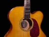 The Prodigy Elite Flat Top Acoustic Guitar (Foster Jazz Guitars)