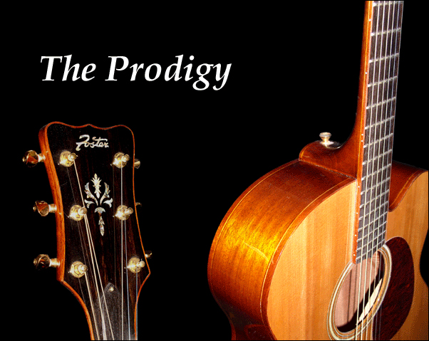 The Prodigy Flat Top Acoustic Guitar (Foster Jazz Guitars)