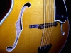 The Fleur De Lis Elite Archtop Guitar (Foster Jazz Guitars)