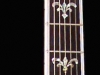 The Fleur De Lis Elite Archtop Guitar (Foster Jazz Guitars)