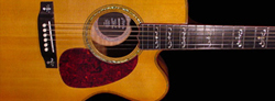 The Prodigy Elite Flat Top Acoustic Guitar